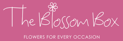 The Blossom Box